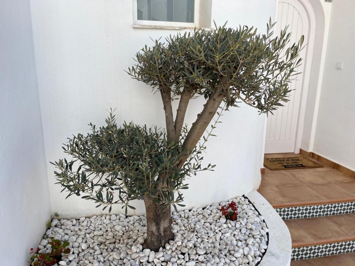 Villa Casa del olivo Almuñécar Esterno foto